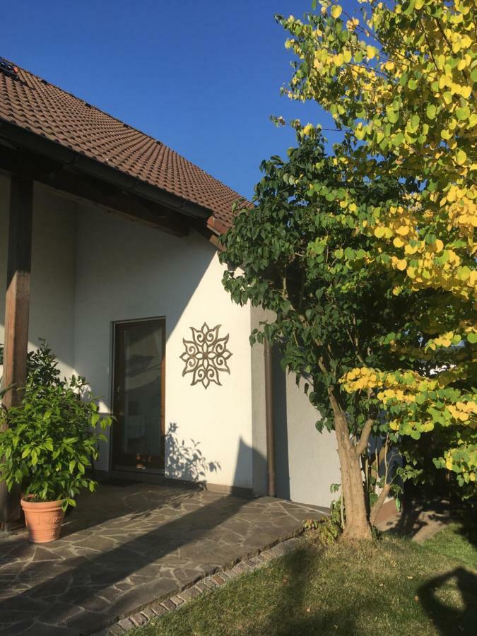 Apartment Am Stadtpark Ноймаркт-ін-дер-Оберпфальц Екстер'єр фото